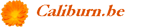 caliburn.be